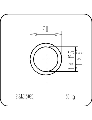 P231015020
