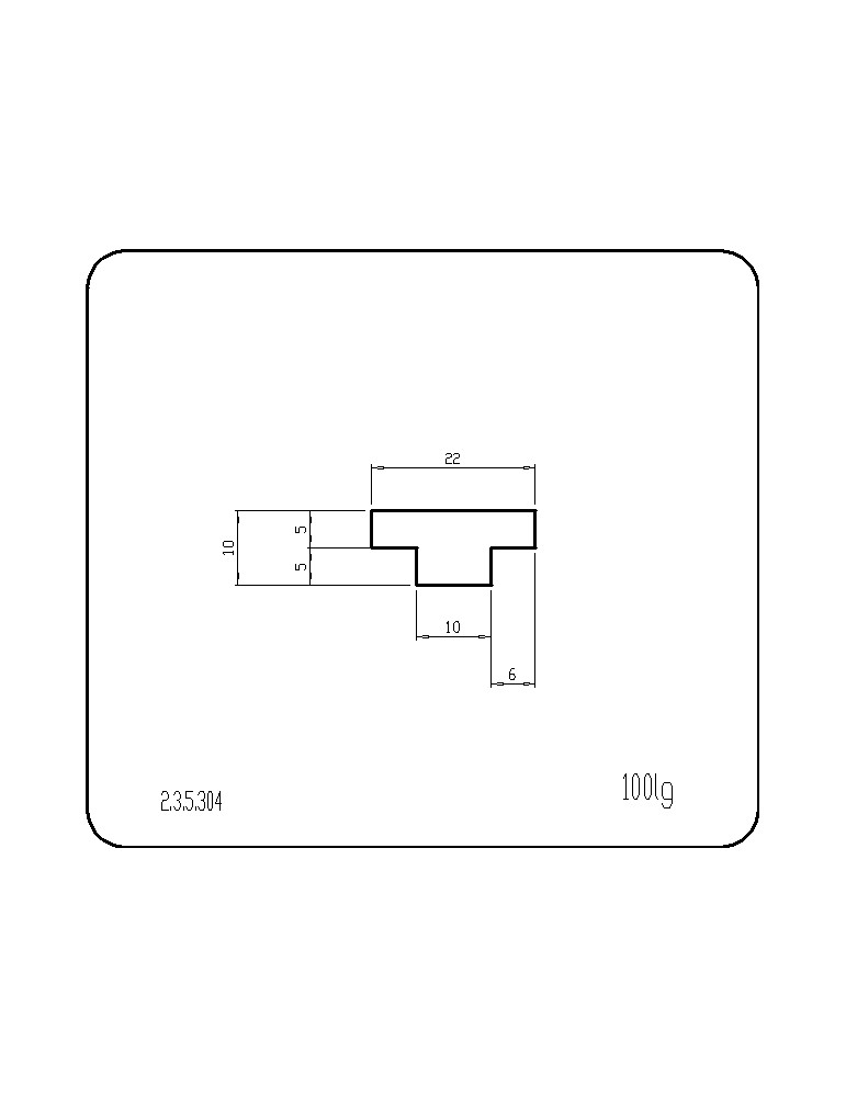 P235304