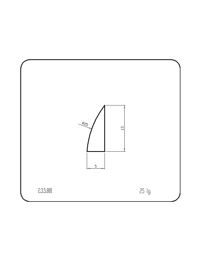 P235881