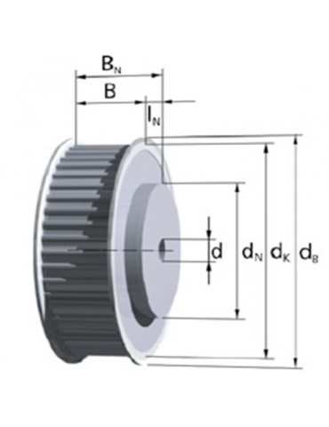 36 T5 25