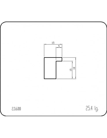 P236010