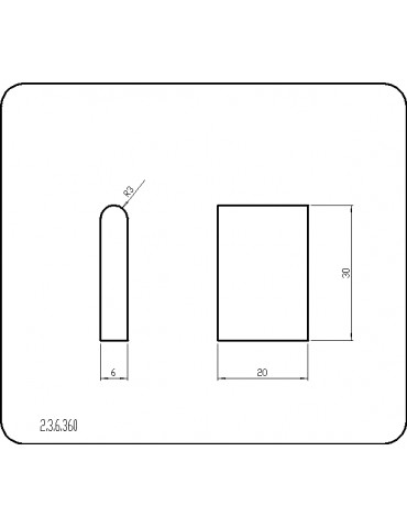 P236360