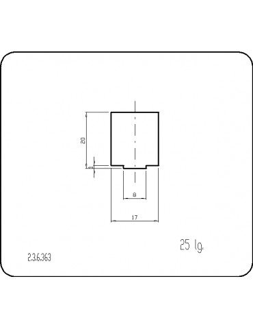 P236363