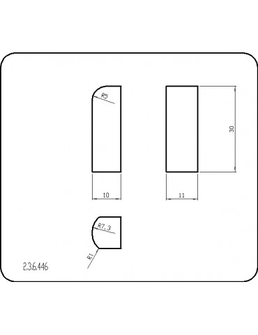 P236446