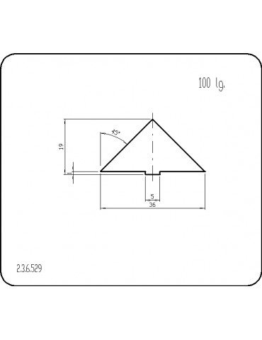 P236529