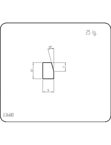P236603