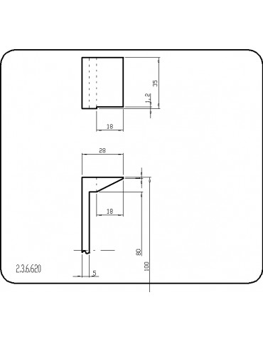 P236620