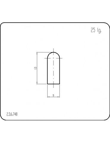 P236748