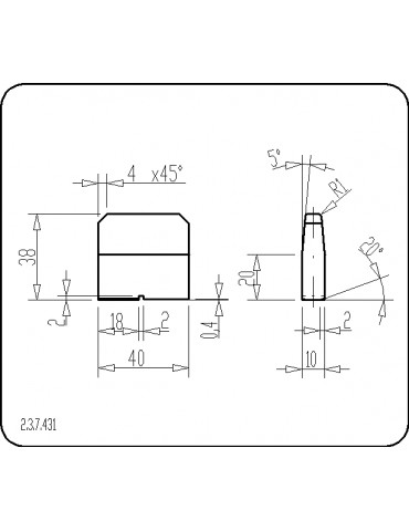 P237431