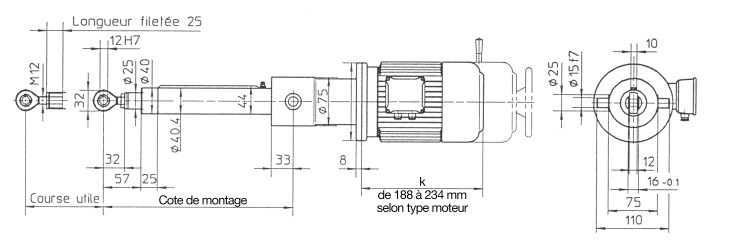 Force-velocity and buckling curves